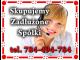 dlugi_w_spolce_zadluzenie_zagubiona