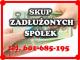 skup_zadluzonych_spolek_jdg_pomoc_2