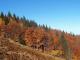 _polska_zlota_jesien_w_gorach_atrak