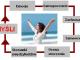 kurs_samodoskonalenia_samokontroli_
