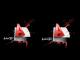 autocad_i_i_ii_stopien_42h_certyfik