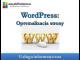 wordpress_optymalizacja_strony